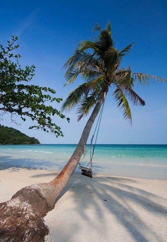 Phu Quoc Pleasure! (Comfort)