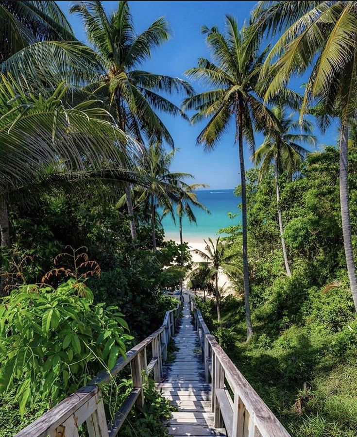 Phu Quoc Pleasure! (Comfort)