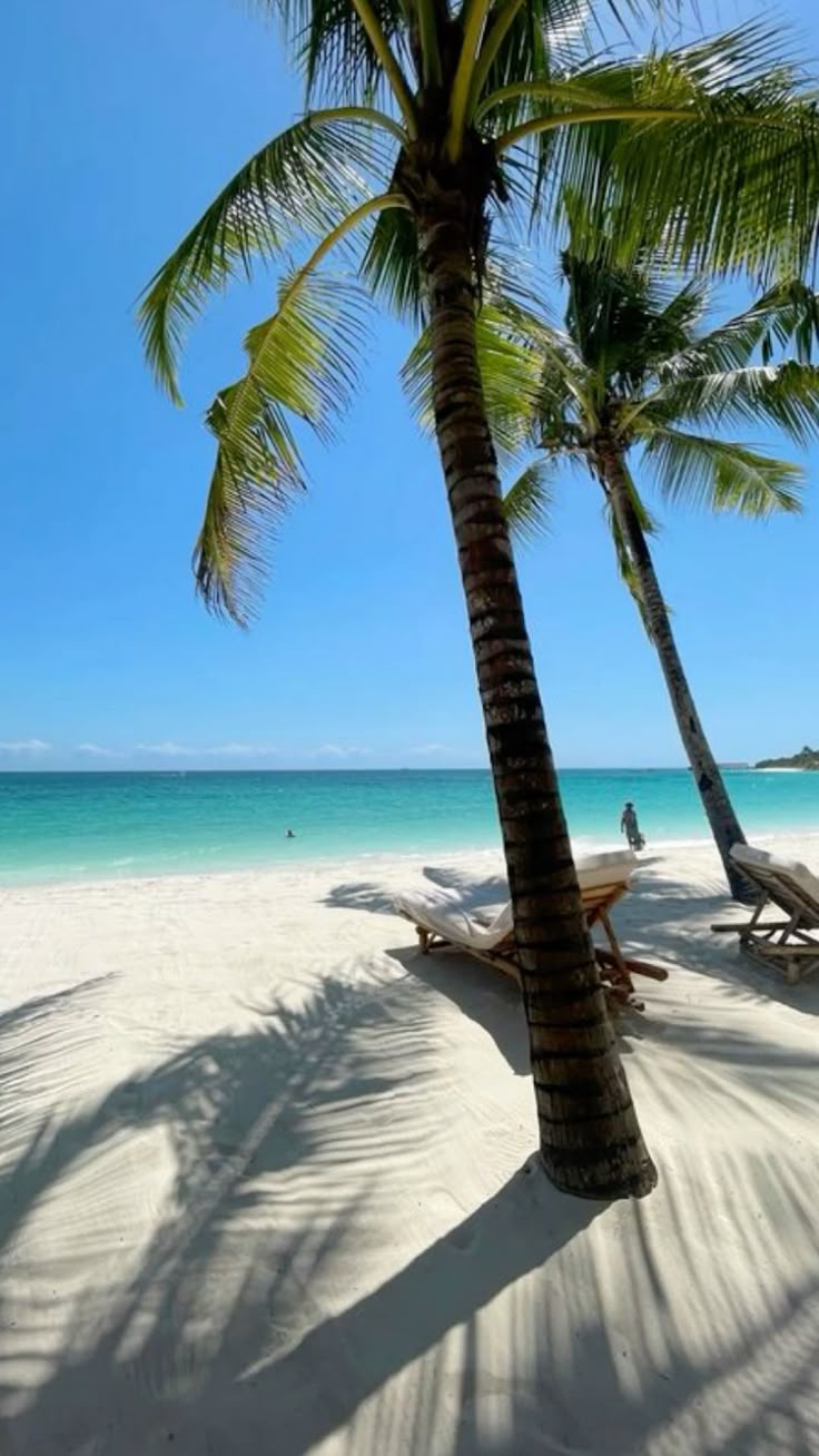 Zanzibar!