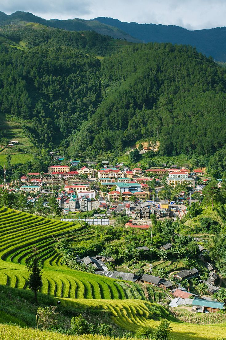 Sapa Serenity!