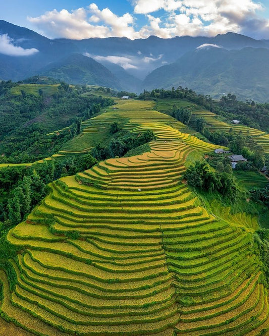 Sapa Serenity!