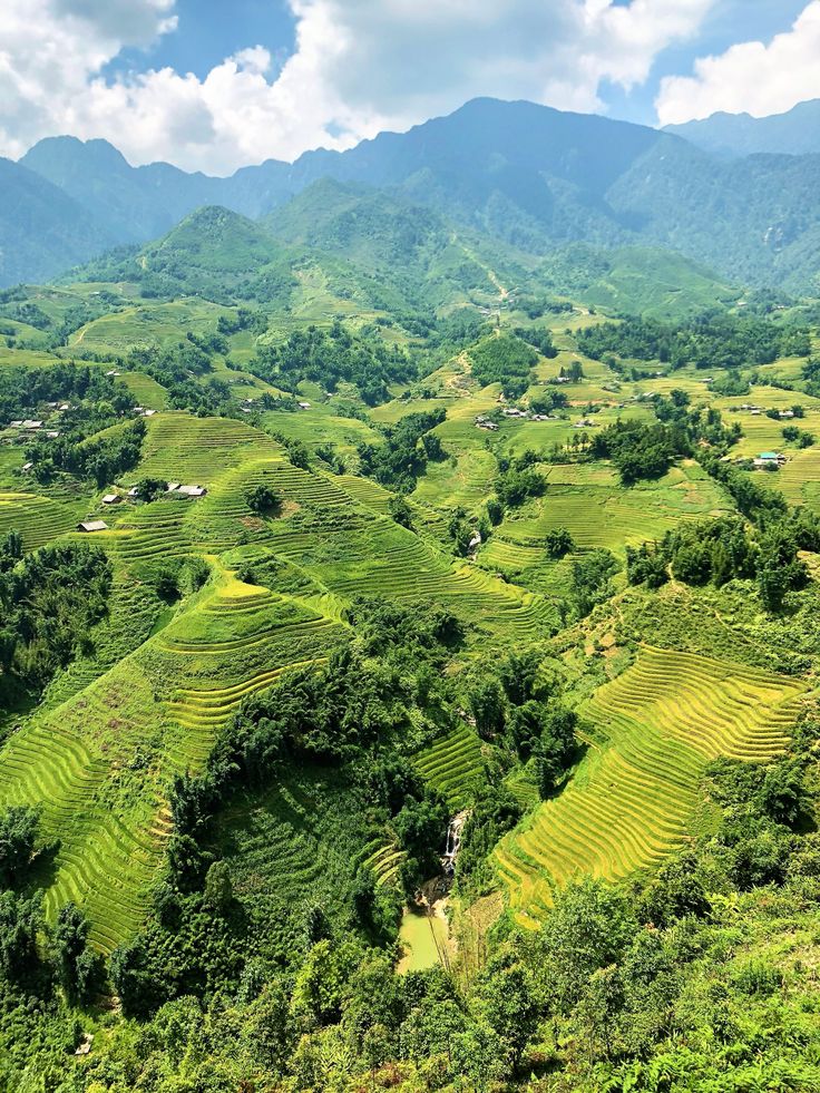 Sapa Serenity!
