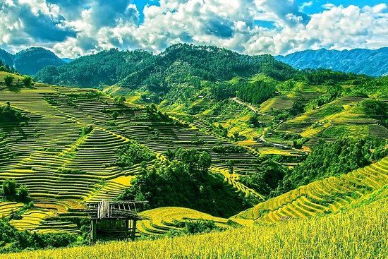 Sapa Serenity!