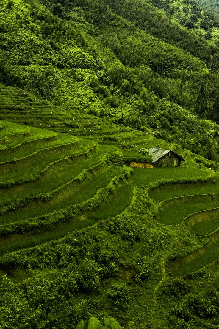 Sapa Serenity!