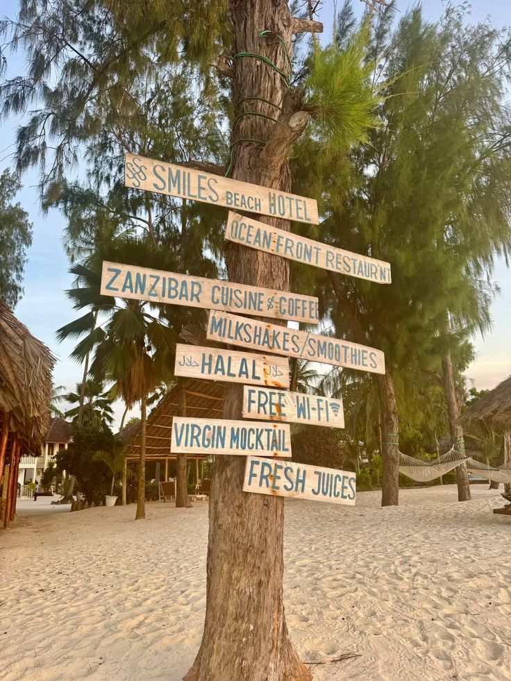 Zanzibar!