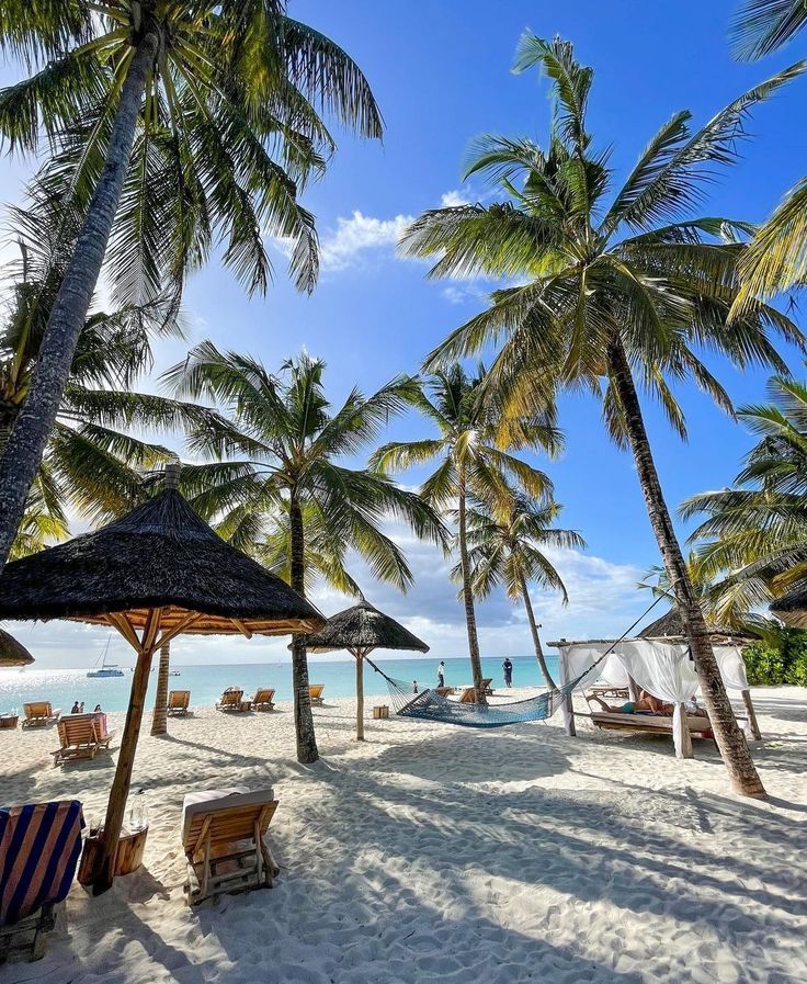 Zanzibar!